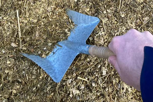 Mit dem Schaufeltest die Selektion sichtbar machen Mit dem Schaufeltest die Selektion sichtbar machen
