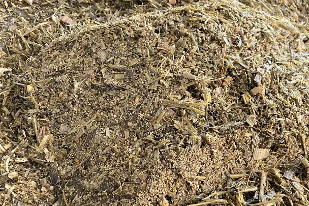 Ergebnis Schaufeltest Ergebnis Schaufeltest