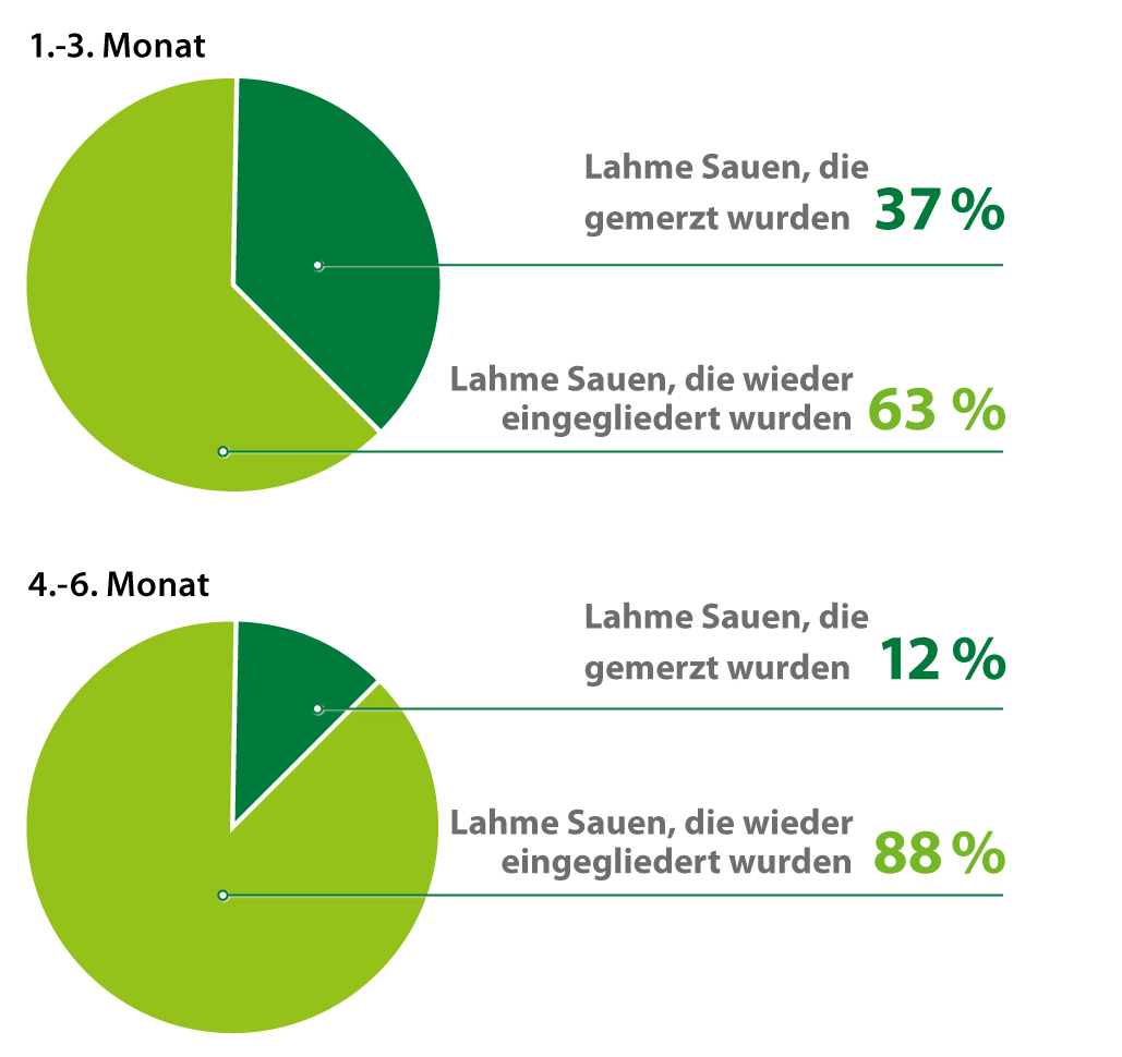 stope gubitaka i AMINOTRACE stope gubitaka i AMINOTRACE