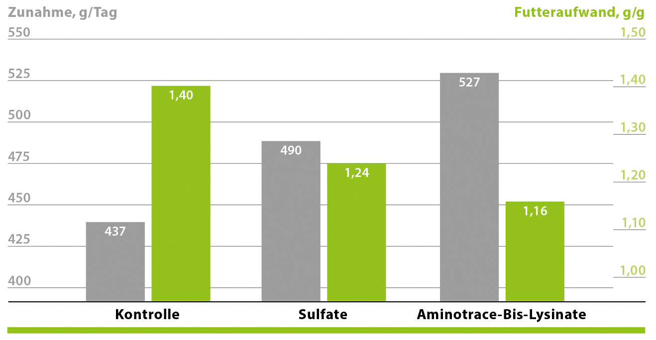 AMINOTRACE steigert die Zunahme AMINOTRACE steigert die Zunahme