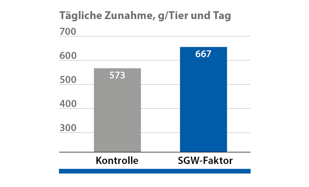 SGW-Faktor SGW-Faktor