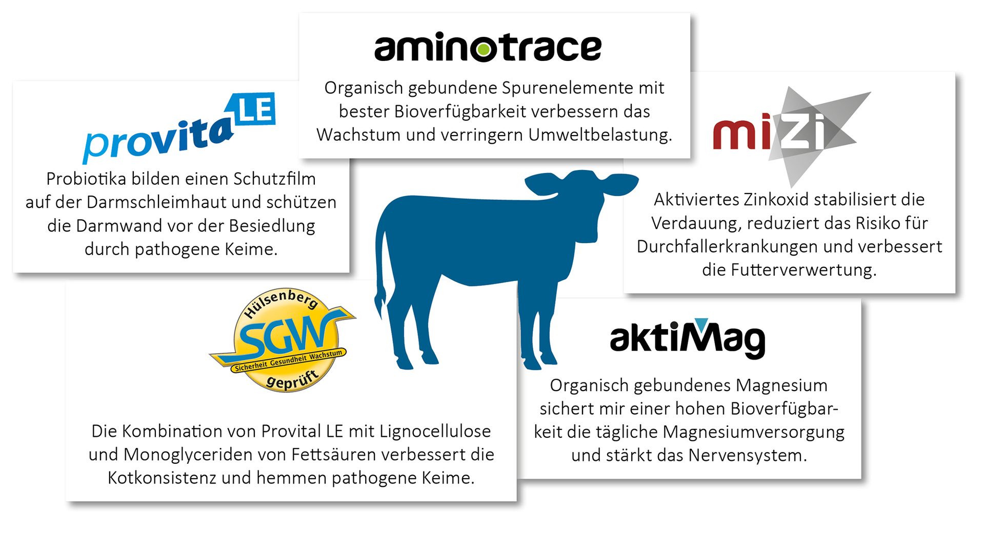 Interakcija različitih djelatnih tvari za zdravo tele Interakcija različitih djelatnih tvari za zdravo tele